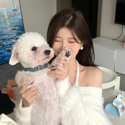九辫妖狐